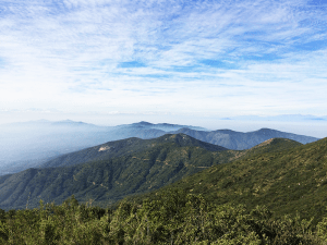 Proyecto de Radiocomuniciones Sonacol